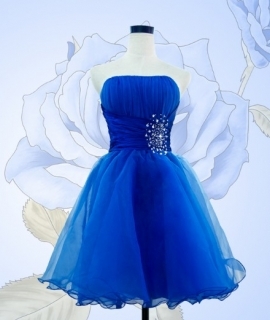 Graduation Dresses Sexy Backless Royal Blue Short Prom Dresses Cheap Party Dress Special Occasion Dress